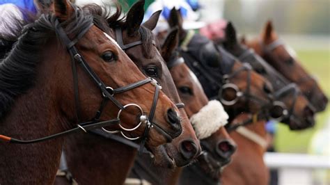 lingfield racing results yesterday|racing results at lingfield today.